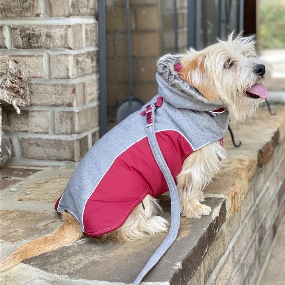 UNISEX CLOAK & DAWGGIE 3M SCOTCHLITE REFLECTIVE MATERIAL WINTER JACKET - Picture 12 of 15